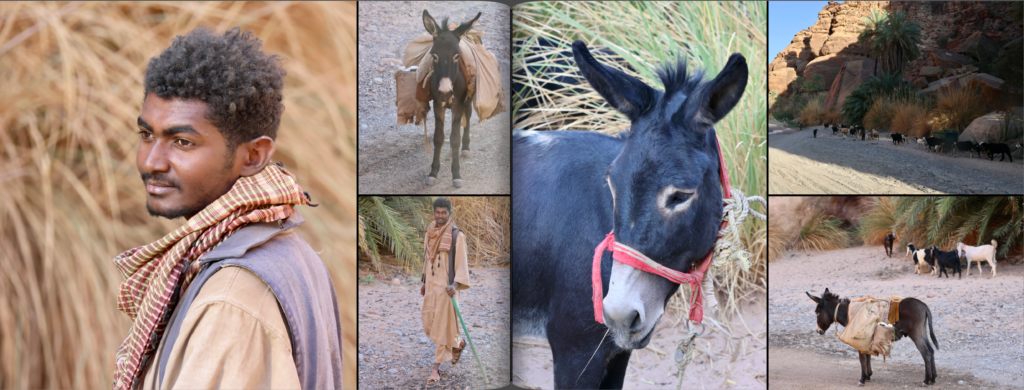 schermafbeelding 2026 01 26 om 20.59.22